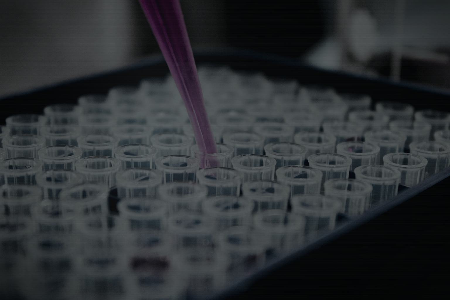 Peptide support