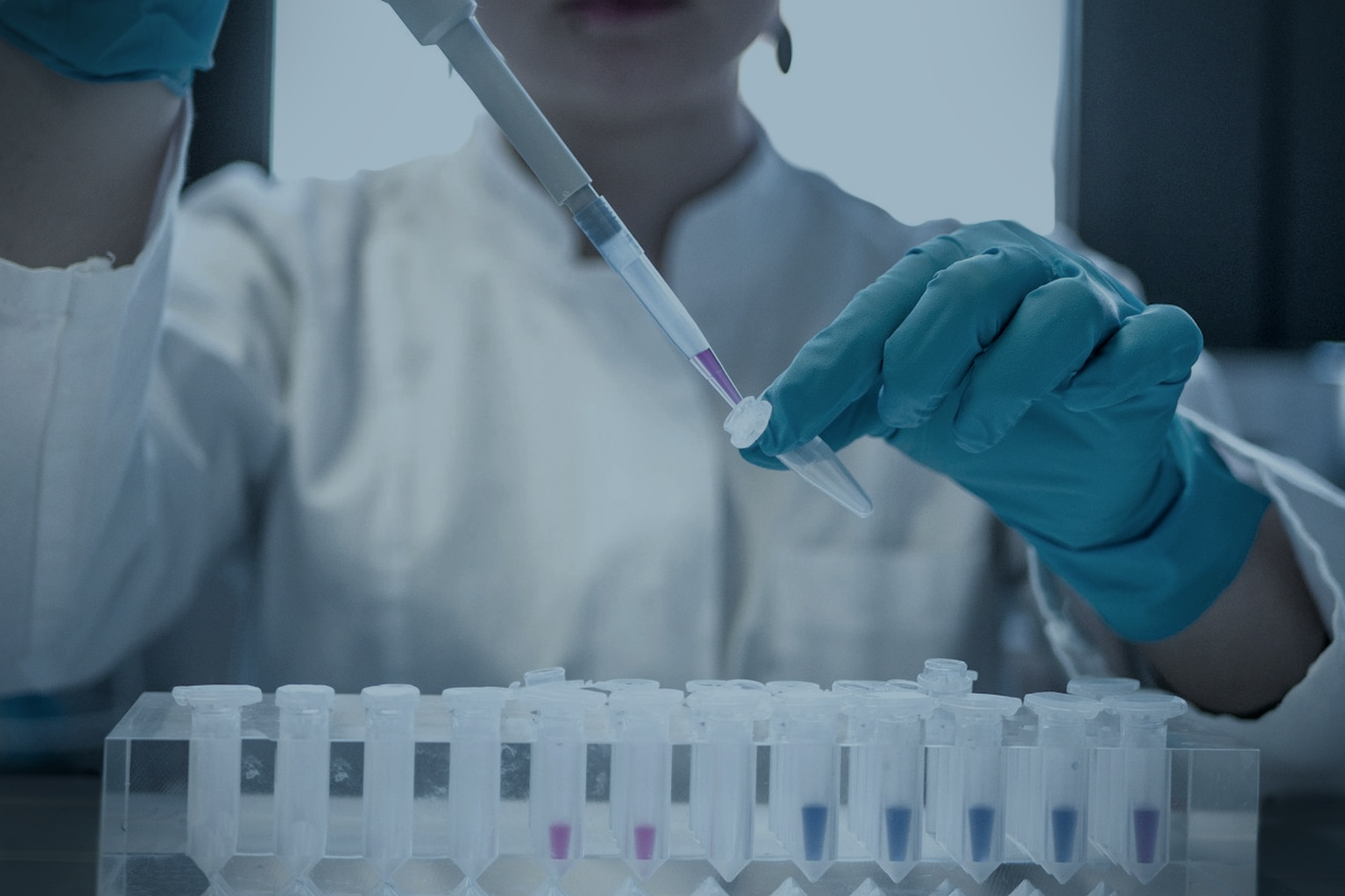 Landscape as chrome
