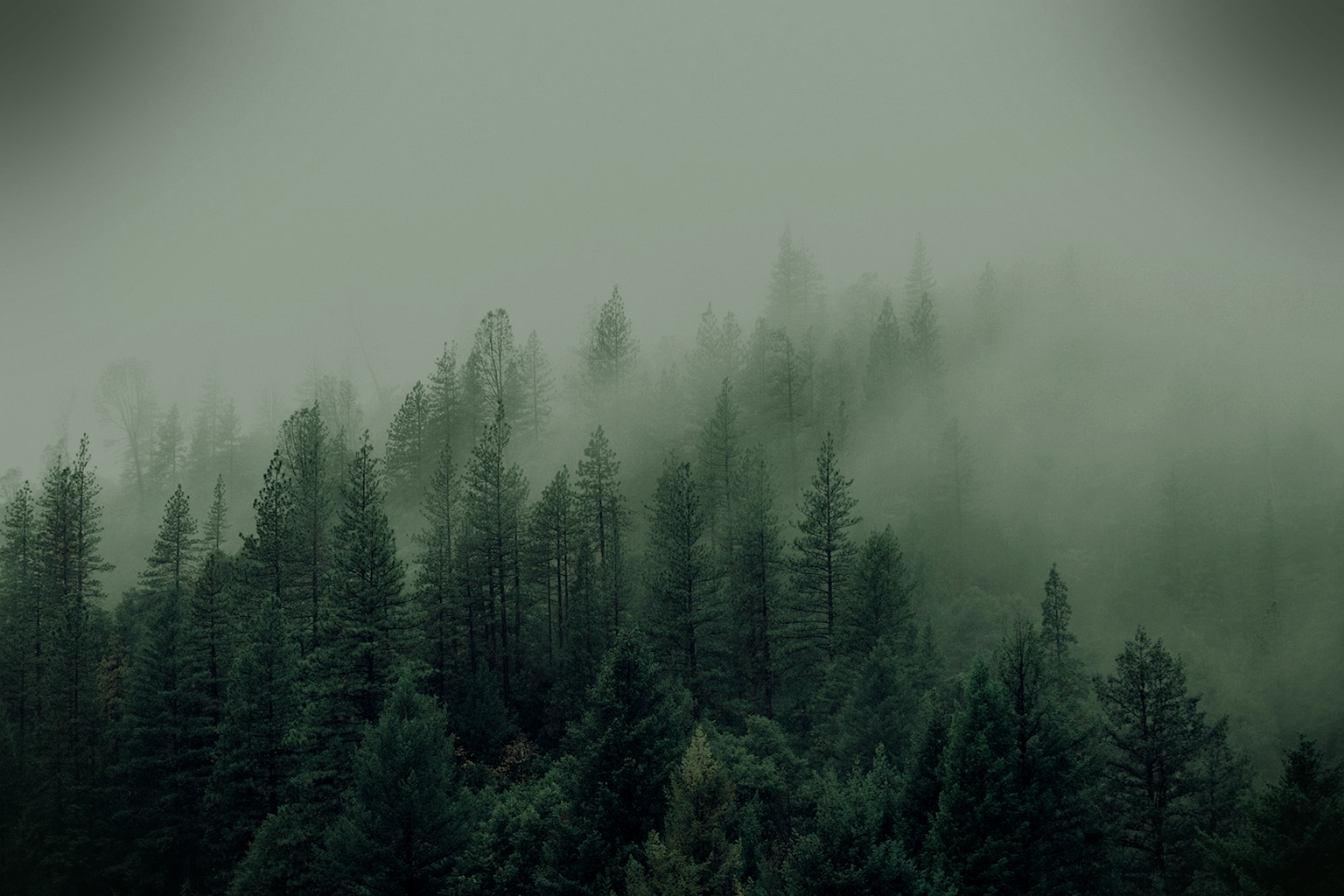 Landscape as chrome