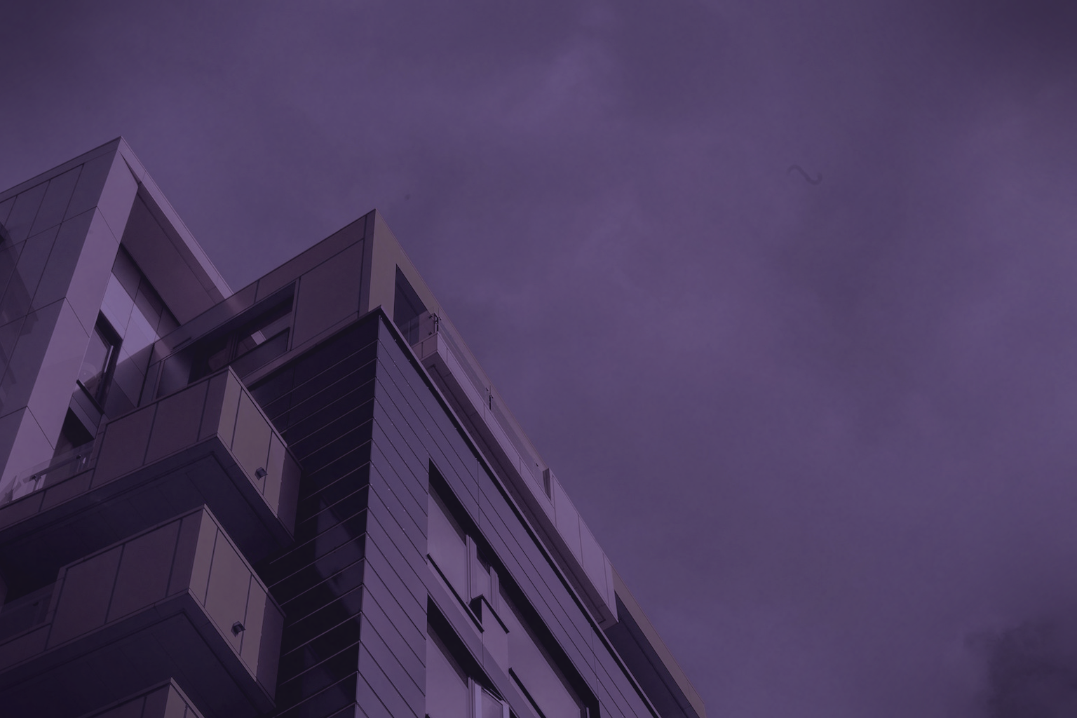Violet Wall + Silver Trim FAQ